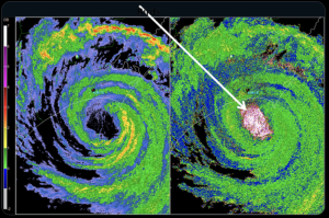 radar image of a hurricane showing an area of birds within the eye of the hurricane